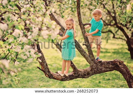 cute siblings playing and climbing tree in spring apple garden