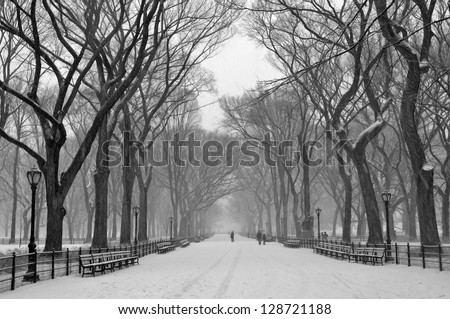Snow at Central Park