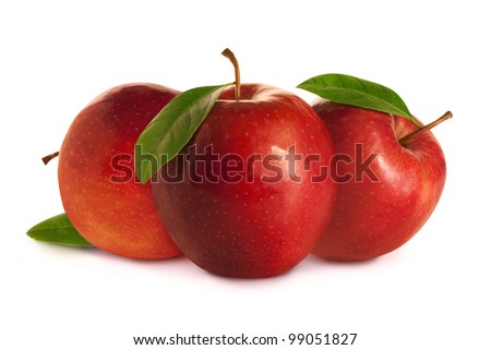 Tree red apples with leaves