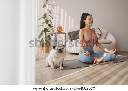 Similar – Image, Stock Photo Owner petting pug dog on grass