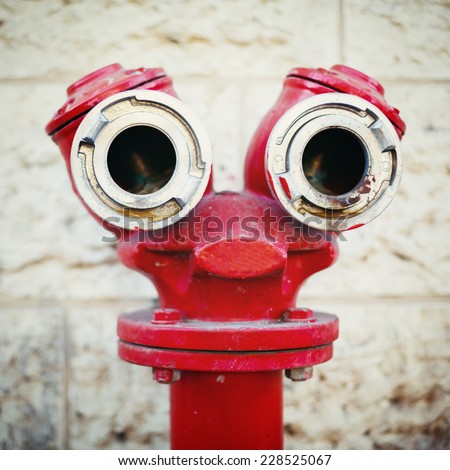 Red old fire hydrant on a street, looking like a face. Instagram style.