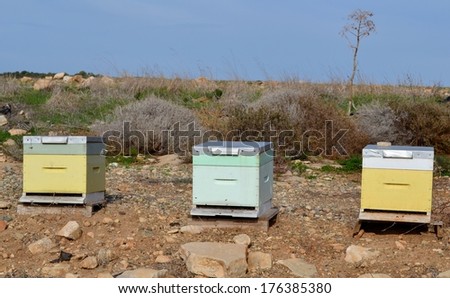 Bee hives and blue sky