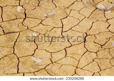Cracked earth background