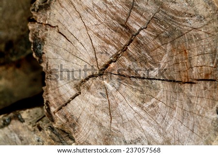 Timber texture