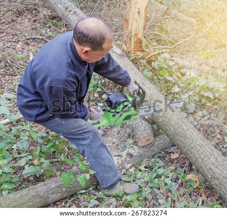 Lumberjack logger worker cutting firewood timber tree in forest with chainsaw in mountain.