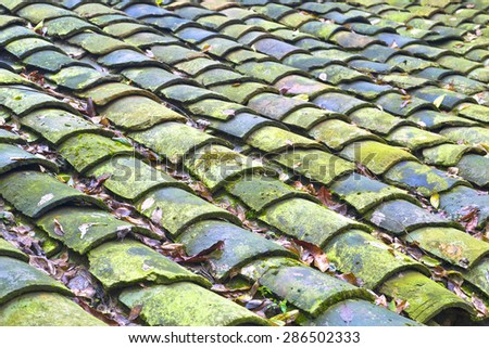 chinese style old tile roof with moss on it.