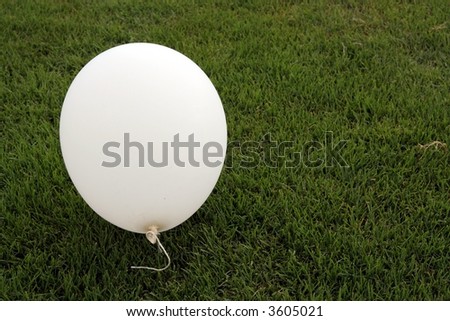 white balloon on grass