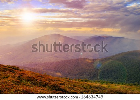 mountain landscape. valley with stones on the hillside. forest on the mountain under the beam of light falls on a clearing at the top of the hill. in morning light
