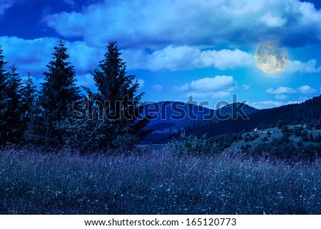 meadow with in high mountains by the forest at night