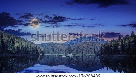 view on lake near the pine forest at night on mountain background