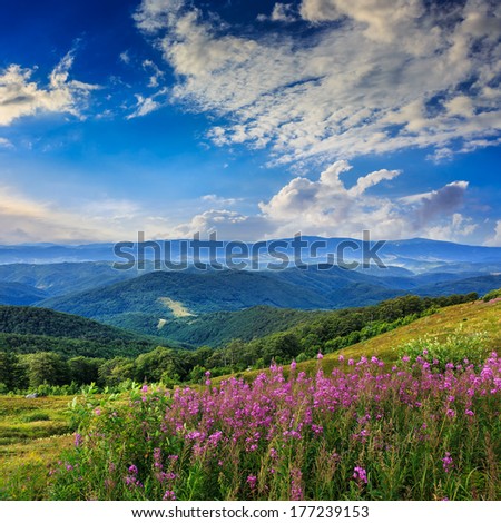 mountain landscape. valley with stones on the hillside. forest on the mountain under the morning light falls on a clearing at the top of the hill.