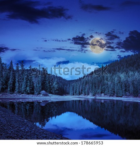 view on lake near the pine forest late midnight on mountain background in moon light