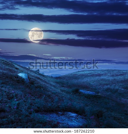 mountain landscape. valley with stones on the hillside. forest on the mountain. at night in moon light