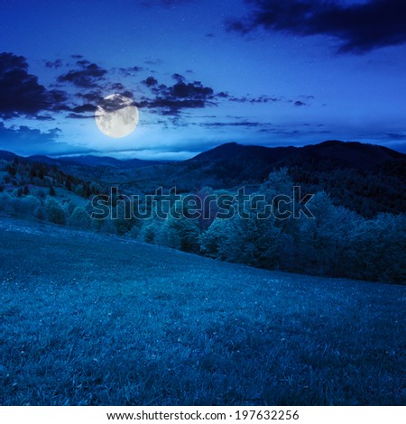 summer landscape. green grass on  hillside meadow. forest in fog on the mountain at night in moon light