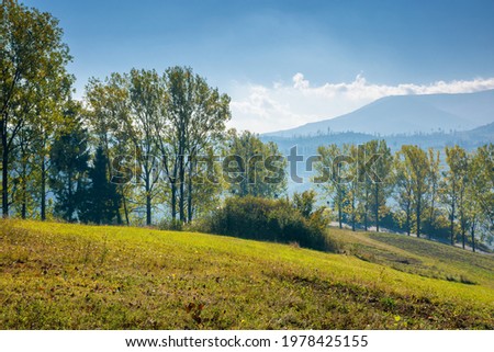 Shutterstock Puzzlepix