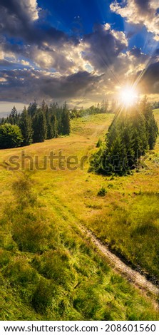 path going up on slope of mountain range with coniferous forest at sunset