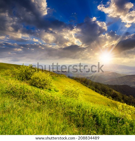 mountain landscape. valley near the forest on the mountain slope at the top of the hill at sunset