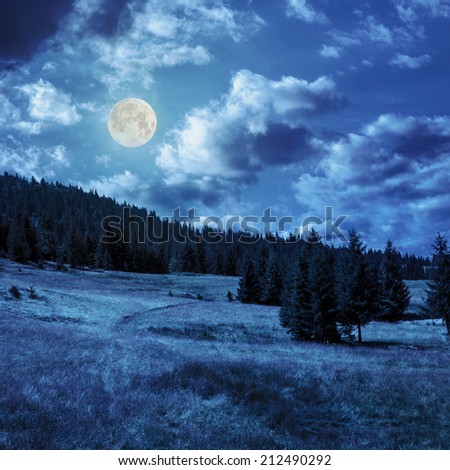 slope of mountain range with coniferous forest at night in full moon light