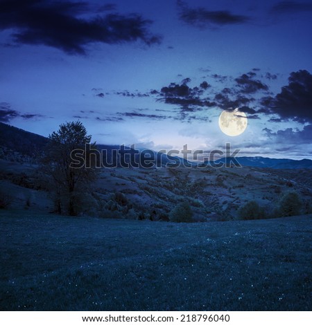 summer landscape. village near the meadow path on the hillside. forest in fog on the mountain at night in full moon light