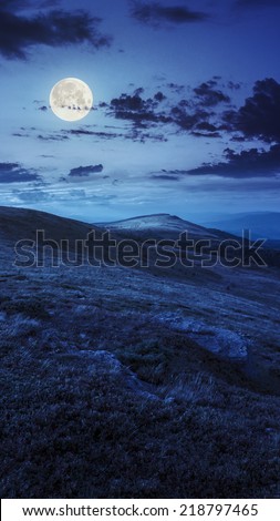 autumn mountain landscape. white sharp stones on the hillside at night in full moon light