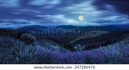 composite landscape with high wild grass and purple flowers on the top of high mountain at night in full moon light