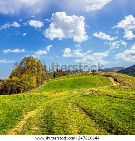 composite autumn landscape. path through the meadow on mountain top in morning light