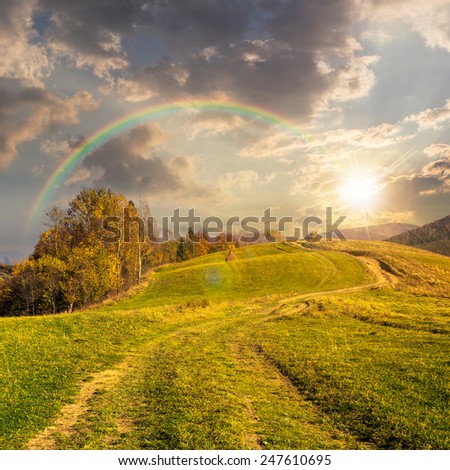 composite autumn landscape. path through the meadow on mountain top in sunset light with rainbow