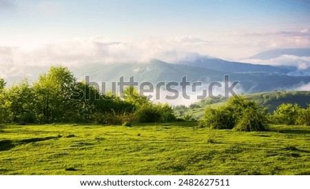 Similar – Image, Stock Photo Amazing mountain range at sunset