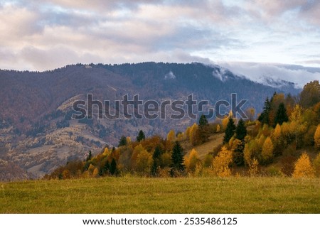 Similar – Image, Stock Photo Wonderful scenery of highland under lush dramatic clouds