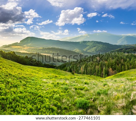 composite landscape with valley with wild grass near conifer forest in high mountains in morning light