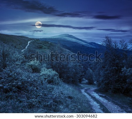 composite landscape. path through the field with green grass in mountains near the forest at night in full moon light