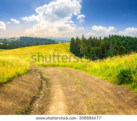 road on hillside meadow in mountains. fir forest  on sides of the road in morning light