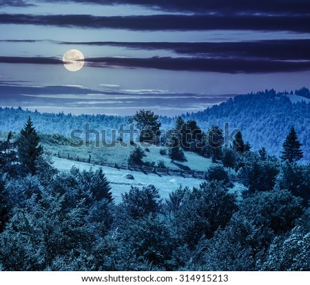 fence on the hillside meadow near forest on the mountain slope at night in full moon light