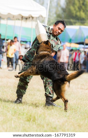 PRACHUAPKHIRIKHAN, THAILAND - DECEMBER 14 : Military dog show on fair of competition the animals \