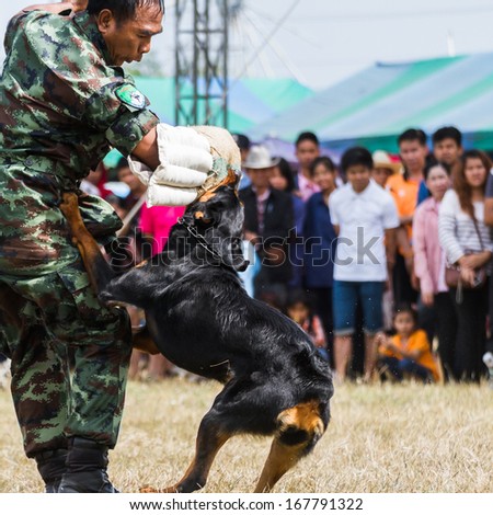 PRACHUAPKHIRIKHAN, THAILAND - DECEMBER 14 : Military dog show on fair of competition the animals \