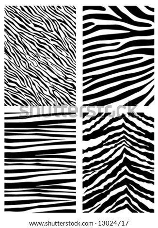 Zebra Pattern Vector - 13024717 : Shutterstock