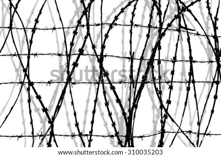 black and white barbed wire isolated white with shadow