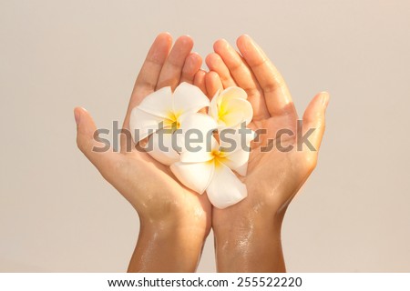Golden tinted photo of female hands in oil holding magnolia flower on beige background view 8