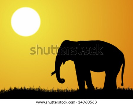 Sunshine vector illustration