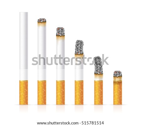 Realistic Cigarette Set Different Stages of Burn. Vector illustration