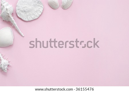 White seashells presented on a pink sheet of paper offering a framing format