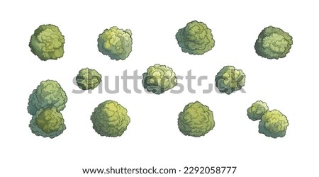 Set of various trees, bushes and shrubs, top view for landscape design plan or game design. Vector illustration in cartoon style, isolated on white background.