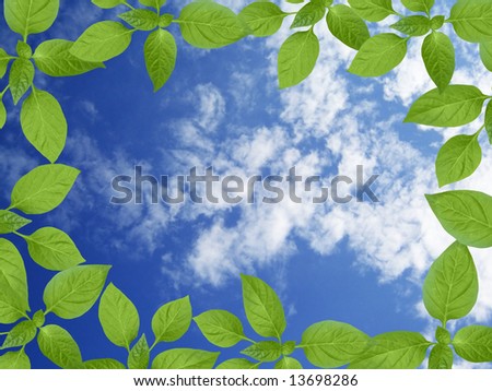Cloudy sky background with green plant frame