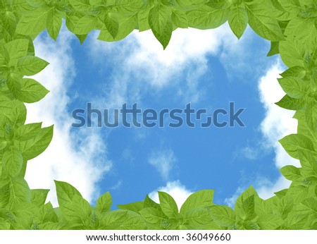 cloudy sky with green plant frame