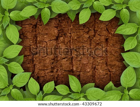 Bark background with green plant frame