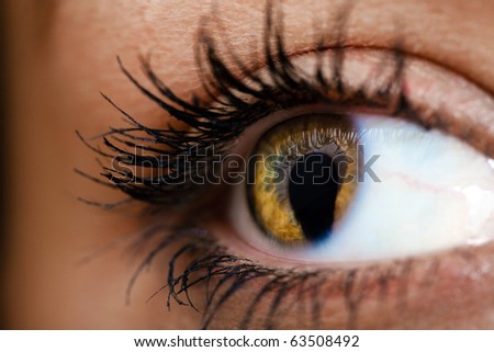 Female eye with cat pupil