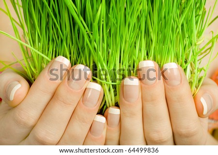 Female hands holding green grass