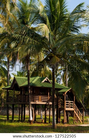 Hut in the middle of lush green palm trees in India
