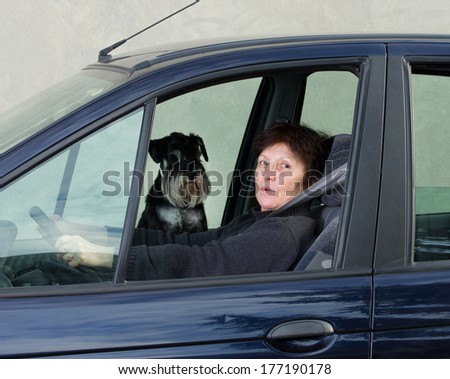 Woman drives car and dog sitting on passenger seat