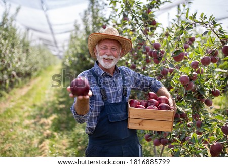 Similar – Image, Stock Photo Apple harvest or man with hat sits under a ripe apple tree